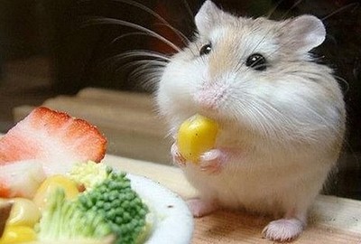 Ц˵˵ͼƬ10