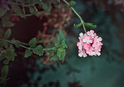 С˵˵ͼƬȫ13