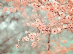 ˸˵˵ͼƬ¶һ˵ظ