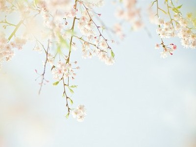 ˸ֿ˵˵ͼƬ9