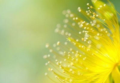 关于爱情的短句:一辈子只爱一个人,并不丢人