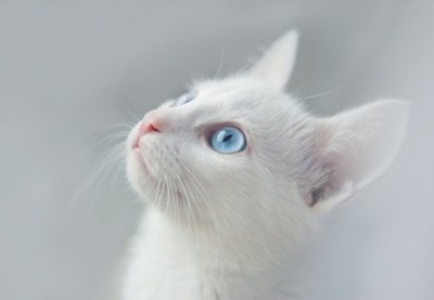 <b>˵˵קʱԶĳ˲ᣬ</b>