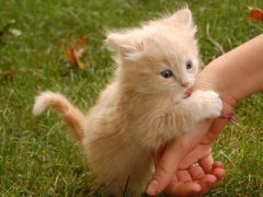 ӿռ˵˵һ㣬Ҿ֪