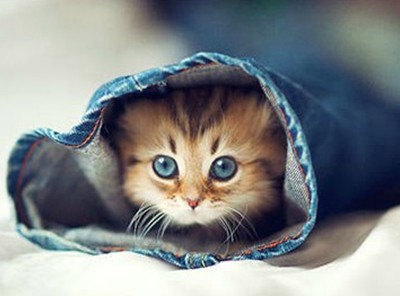 ں˵˵ľ